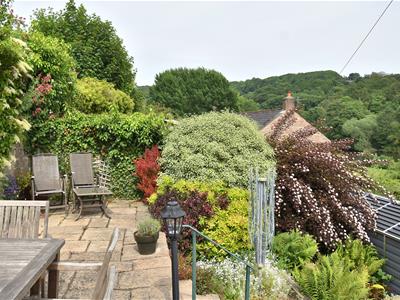 Picture 15